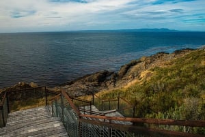 Punta Arenas: Fort Bulnes Historical Tour