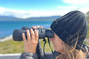 Punta Arenas: Fort Bulnes og Magellanstreddet