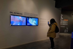 Punta Arenas: Fort Bulnes og Magellanstreddet