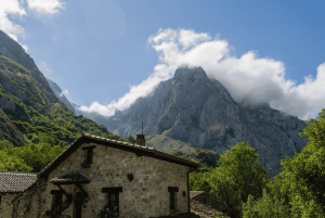 Punta Arenas: Fuerte Bulnes Shore Tour für Kreuzfahrtschiffe