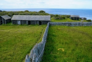 Punta Arenas: Fuerte Bulnes Shore Tour für Kreuzfahrtschiffe