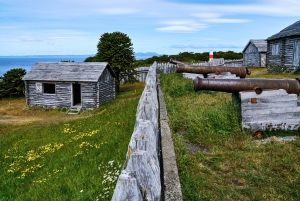 Punta Arenas: Fuerte Bulnes Shore Tour für Kreuzfahrtschiffe