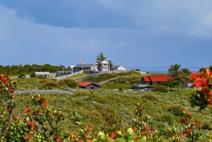 Punta Arenas: Fuerte Bulnes Shore Tour für Kreuzfahrtschiffe