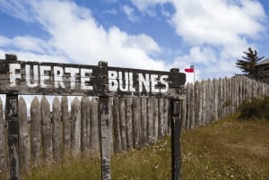 Punta Arenas: Fuerte Bulnes Shore Tour für Kreuzfahrtschiffe