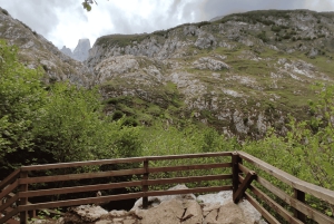 Punta Arenas: Fuerte Bulnes Shore Tour für Kreuzfahrtschiffe