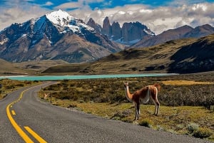 Punta Arenas: Torres del Paine & Grey Glacier Full-Day Boat