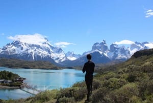 Punta Arenas: Heldagstur til Torres del Paine + Milodon-grotten