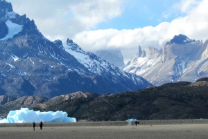 Punta Arenas: Giornata intera Torres del Paine + Grotta di Milodon