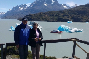 Punta Arenas: Giornata intera Torres del Paine + Grotta di Milodon