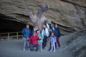 Punta Arenas : Journée complète à Torres del Paine + Milodón (avec transfert aéroport)