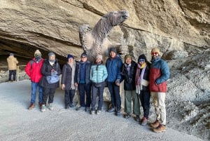 Punta Arenas : Journée complète à Torres del Paine + Milodón (avec transfert aéroport)