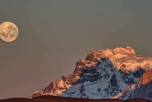 Punta Arenas: Full-Day Torres del Paine Tour