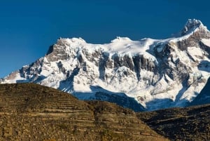 Punta Arenas: Full-Day Torres del Paine Tour