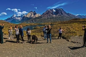 Punta Arenas: Full-Day Torres del Paine Tour