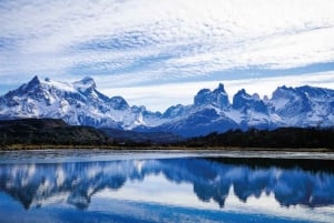 Punta Arenas: Full-Day Torres del Paine Tour