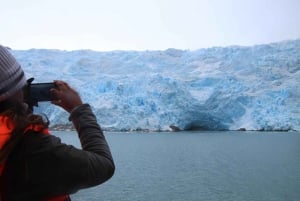 Punta Arenas: Full-Day Whales, Penguins, and Glaciers Tour
