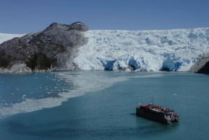 Punta Arenas: Tour de día completo a Ballenas, Pingüinos y Glaciares