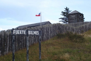 Punta Arenas : Demi-journée Fuerte Bulnes