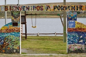 Punta Arenas: Kongepingvinpark og utflukt til Elfenbenskysten