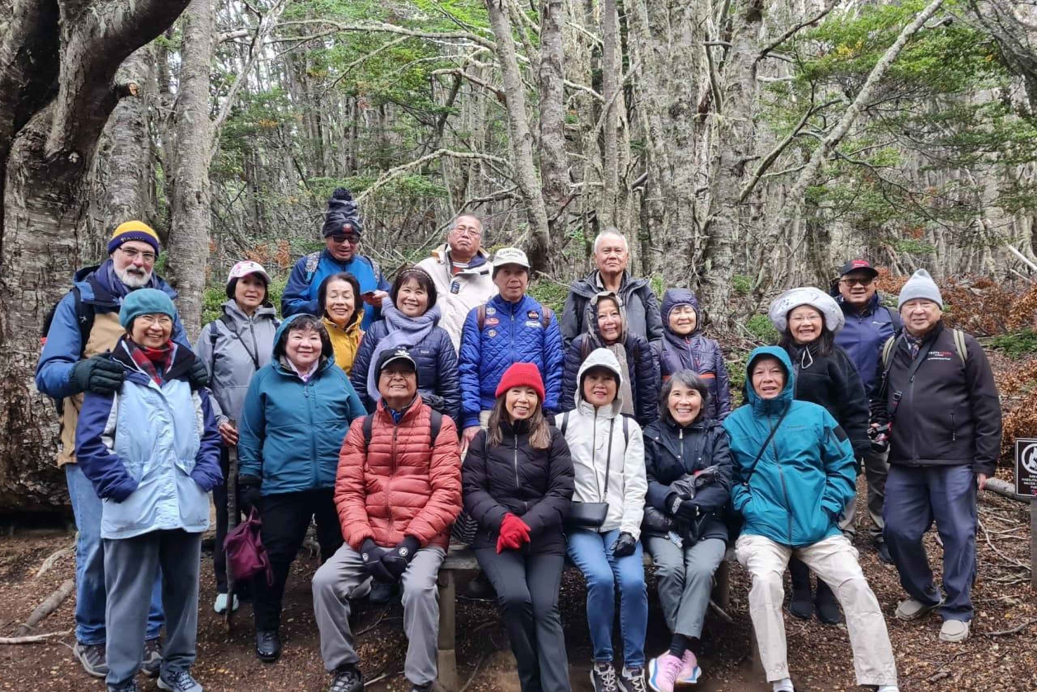 Punta Arenas: Rezerwat Narodowy Magallanes i wycieczka po mieście