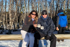 Punta Arenas: Magallanes National Reserve and City Tour