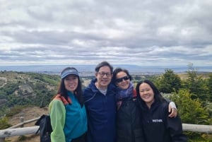 Punta Arenas: Magallanes National Reserve and City Tour