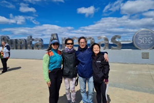 Punta Arenas: Magallanes National Reserve and City Tour