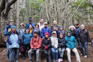 Punta Arenas: Magallanes National Reserve and City Tour