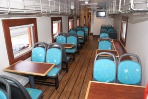 Punta Arenas: Magdalena Island - Pingviner og fyrtårnvandring