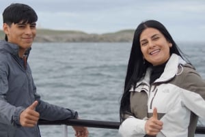 Punta Arenas: Magdalena Island - Pingviner og fyrtårnvandring