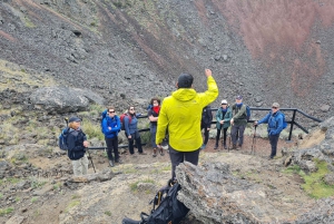 Punta Arenas: Parco Vulcanico Pali Aike – L'altra Patagonia
