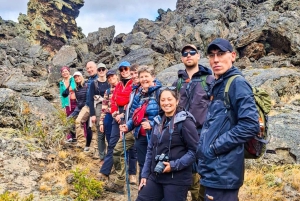 Punta Arenas: Parco Vulcanico Pali Aike – L'altra Patagonia