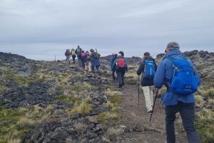 Punta Arenas: Parco Vulcanico Pali Aike – L'altra Patagonia