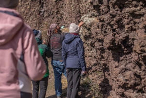 Punta Arenas: Parco Vulcanico Pali Aike – L'altra Patagonia
