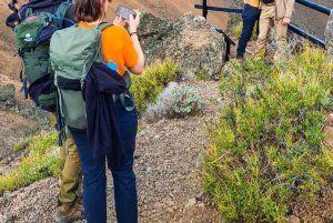 Punta Arenas: Parco Vulcanico Pali Aike – L'altra Patagonia