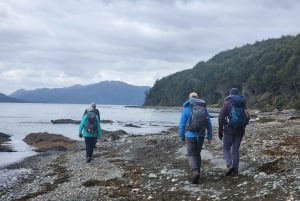 Punta Arenas : Phare de San Isidro - Randonnée à la Fin du Continent