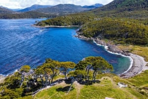 Punta Arenas : Phare de San Isidro - Randonnée à la Fin du Continent