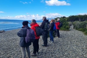 Punta Arenas : Phare de San Isidro - Randonnée à la Fin du Continent