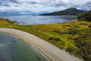 Punta Arenas : Phare de San Isidro - Randonnée à la Fin du Continent