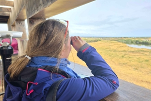 Punta Arenas: Tierra del Fuego and King Penguins