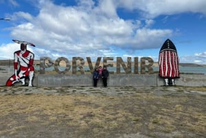 Punta Arenas: Tierra del Fuego and King Penguins