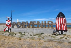 Punta Arenas: Tierra del Fuego and King Penguins