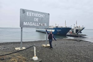 Punta Arenas: Tierra del Fuego and King Penguins