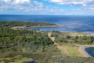 Punta Arenas: Wycieczka historyczna i przyrodnicza
