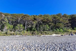 Punta Arenas: Walk to the southernmost lighthouse