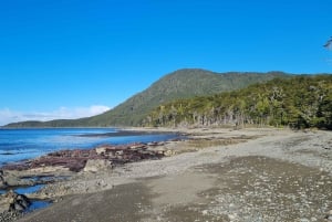 Punta Arenas: Walk to the southernmost lighthouse