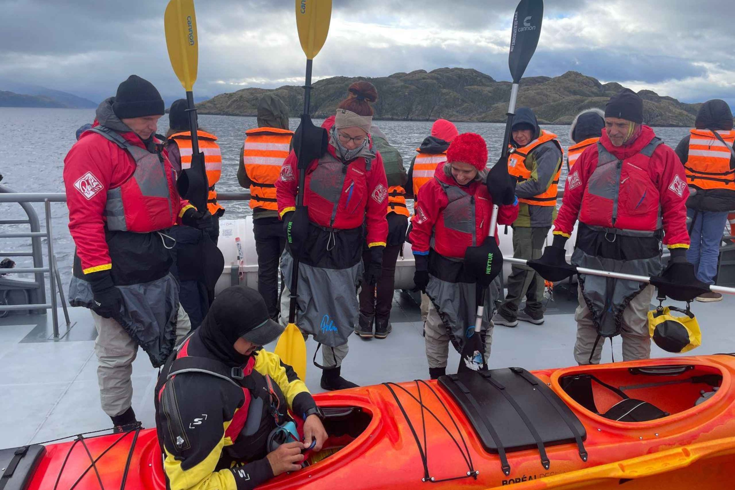 Punta Arenas: Hvalsafari på kajakk