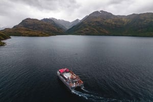 Punta Arenas: Whale Watching by Kayak