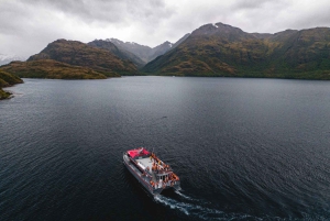 Punta Arenas: Hvalsafari på kajakk
