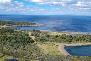 Punta Arenas: Wycieczka historyczna i przyrodnicza